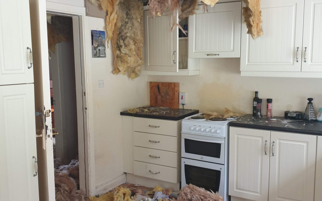 Water Damage Insurance Claims & Expert Tips | Claims Assist Ireland