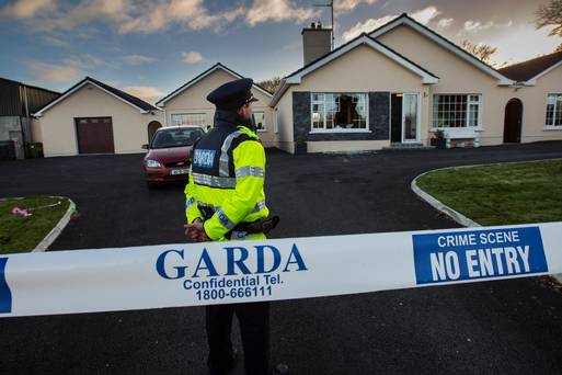 Rural Ireland under siege as thieves exploit lack of gardaí
