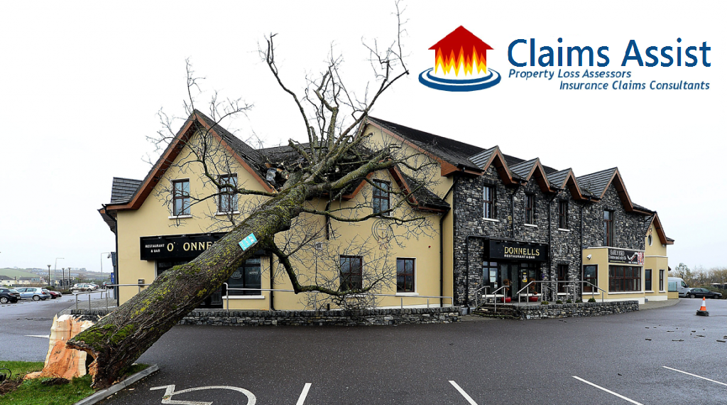 Business and Commercial Insurance Assessors