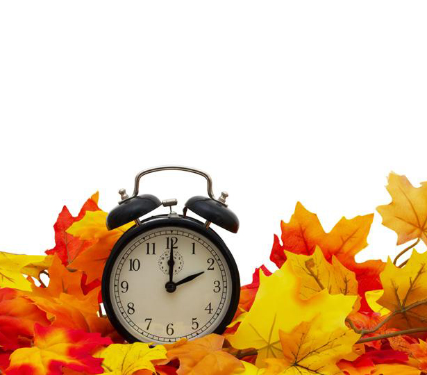 10 Tips to protect your home from Burglars this Winter