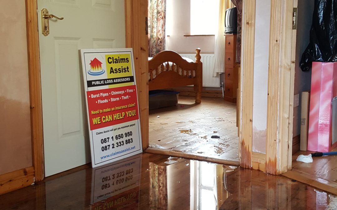 Expert Insurance Loss Assessor Services in Athlone [2025 Update]