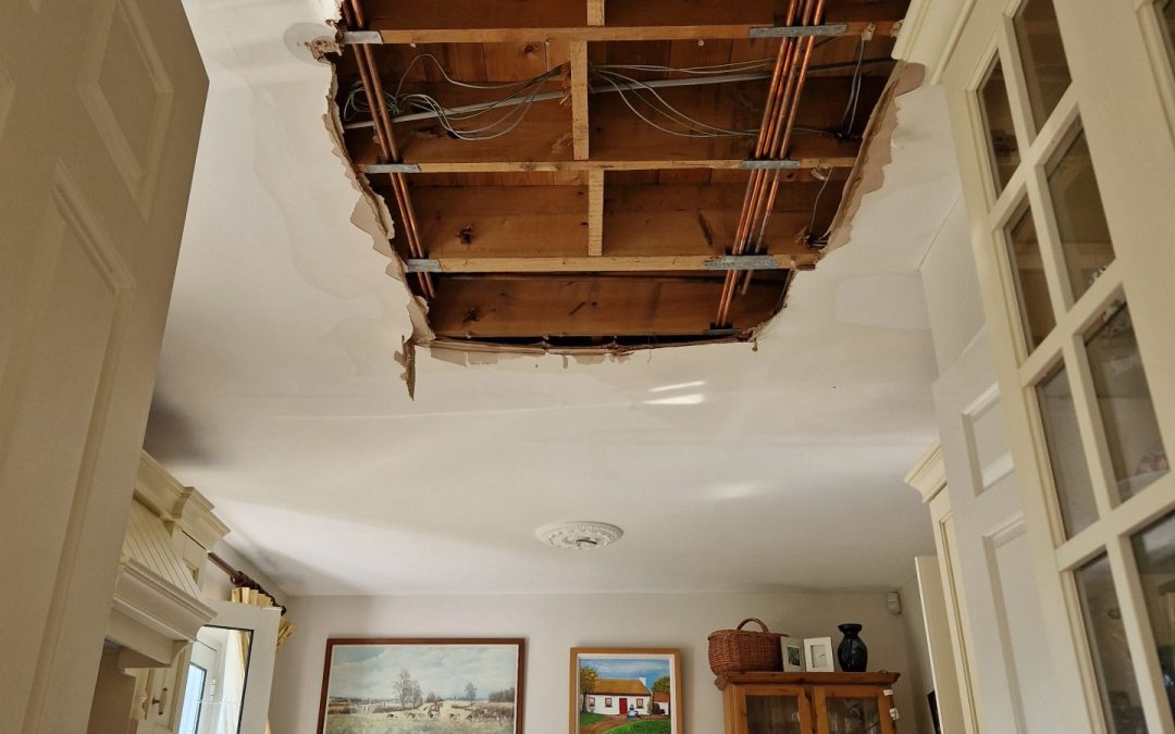 Loss Assessor Limerick Water Damage Experts in Dooradoyle & Raheen