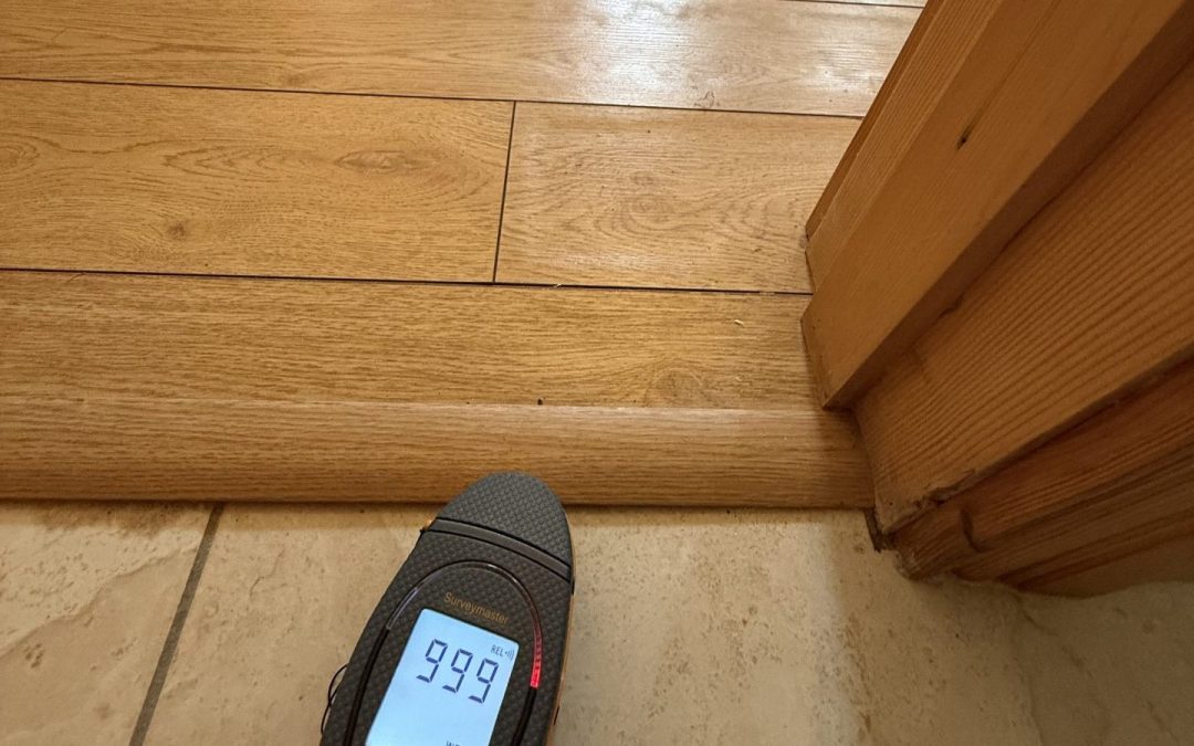 Insurance Loss Assessor Ireland: Finding Hidden Damage