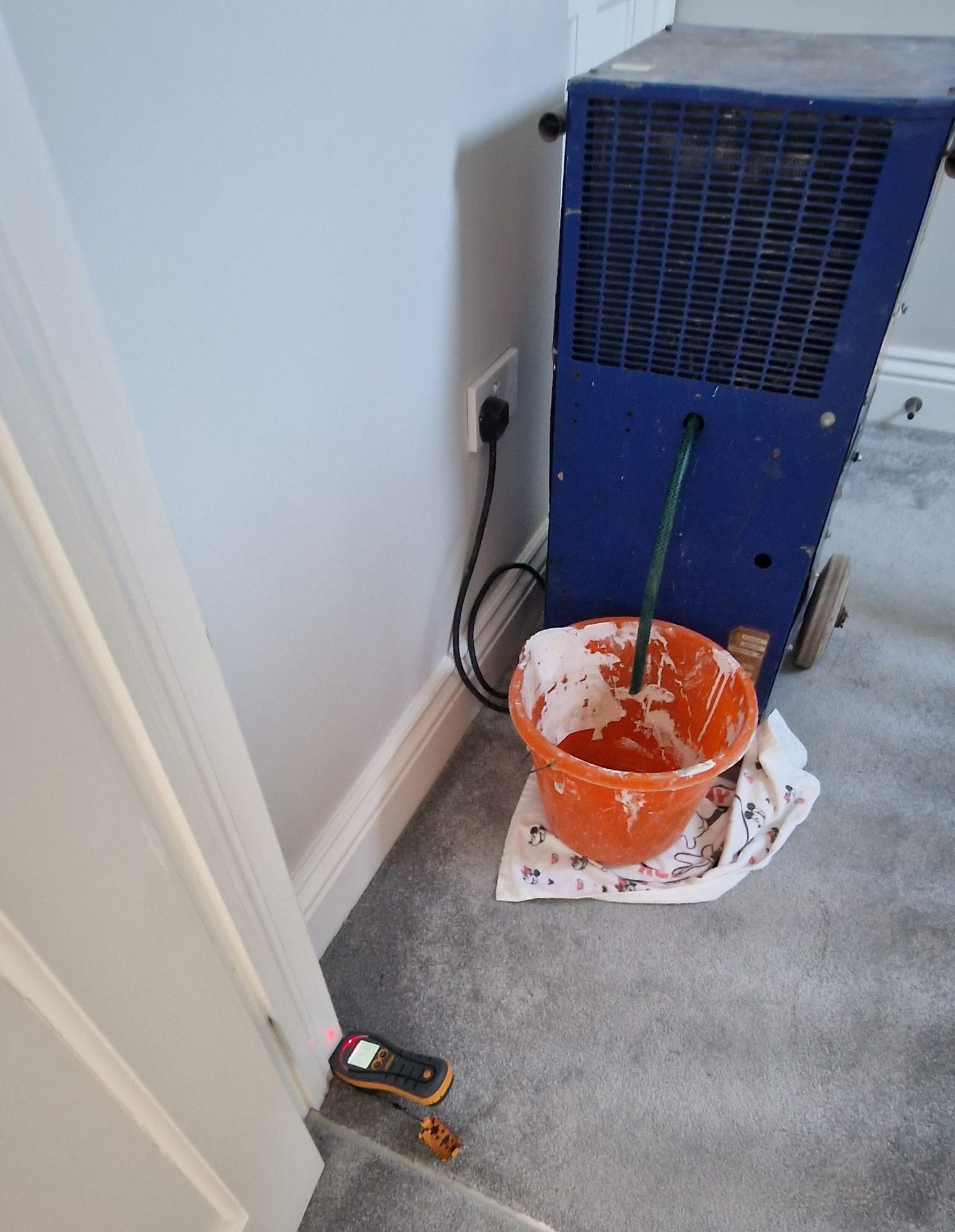 Moisture survey of water damaged carpets in Maynooth to prove the need for full insurance replacement over simple cleaning.